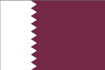 卡塔尔COC